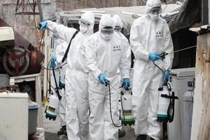 Article : Mauritanie&nbsp;: un deuxi&egrave;me cas de Coronavirus confirm&eacute;