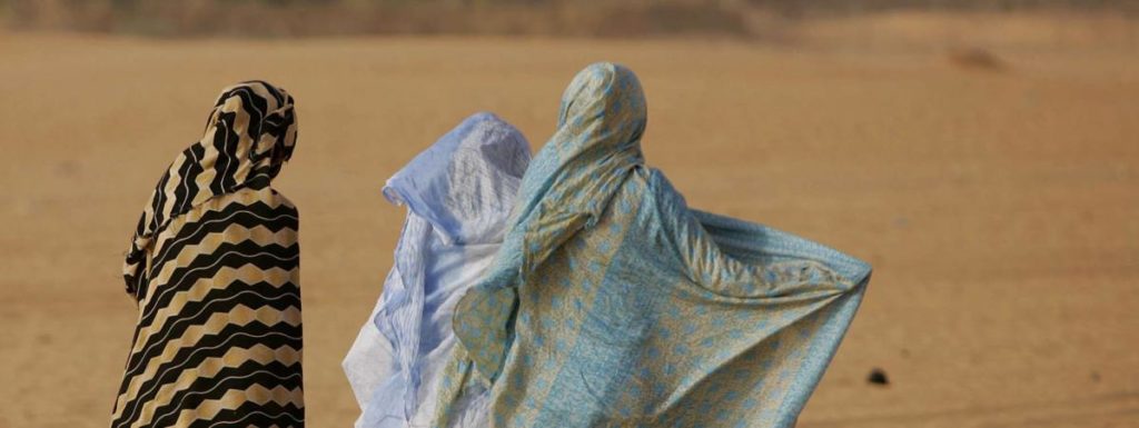 Article : Mauritanie: L&rsquo;examen du projet de  loi relative &agrave; la lutte contre la violence &agrave; l&rsquo;&eacute;gard des femmes et des filles.