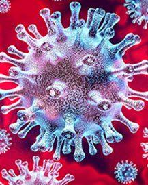 Article : Covid19 : le cauchemar de la diaspora