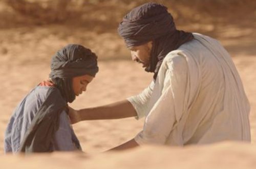 Article : Le film de Abderrahmane Cissakho «  Timbuktu » choque la blogueuse Fatouma Harber