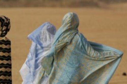 Article : Mauritanie: L’examen du projet de  loi relative à la lutte contre la violence à l’égard des femmes et des filles.