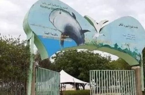 Article : Mauritanie : plaidoyer pour la réouverture du village de la Biodiversité à Nouakchott