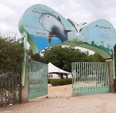 Article : Mauritanie : plaidoyer pour la réouverture du village de la Biodiversité à Nouakchott